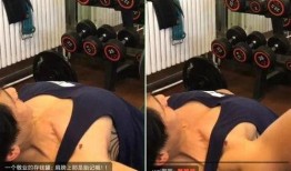 健身影院在线观看,在家享受动感健身与精彩影视的双重盛宴